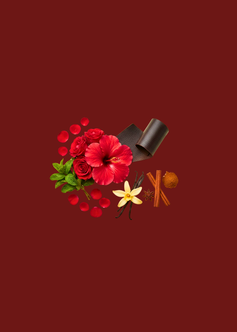 Top Notes: Spearmint, Cinnamon, Cassis (Blackcurrant)Heart Notes: Damask Rose, Hibiscus, LeatherBase Notes: Vanilla, Ambrette Musk